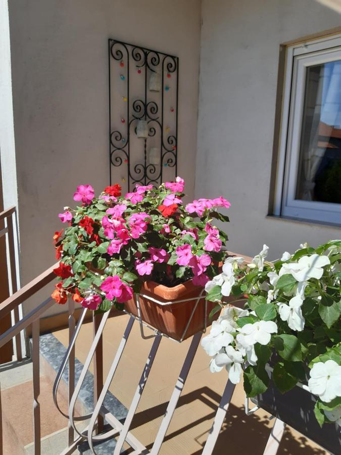Apartment Jardin With Free Cowered Parking Zadar Exterior photo